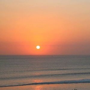 Meet your Posher, Lynn